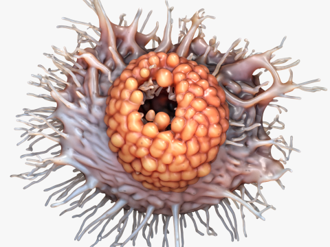 Cancer Cell Tumor Modello 3D