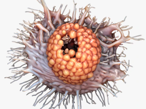 Cancer Cell Tumor 3D Model