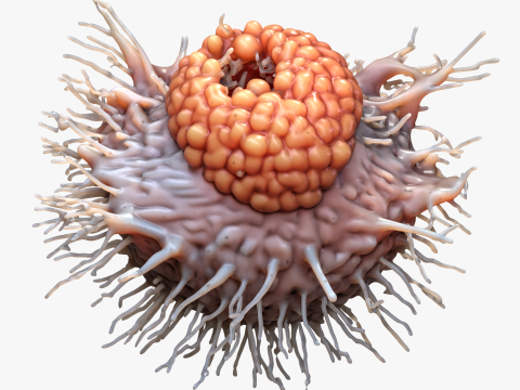 Cancer Cell Tumor Modello 3D