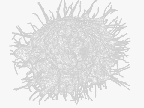 Cancer Cell Tumor 3D Model