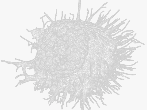 Cancer Cell Tumor Modello 3D