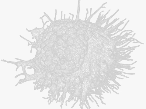 Cancer Cell Tumor 3D Model
