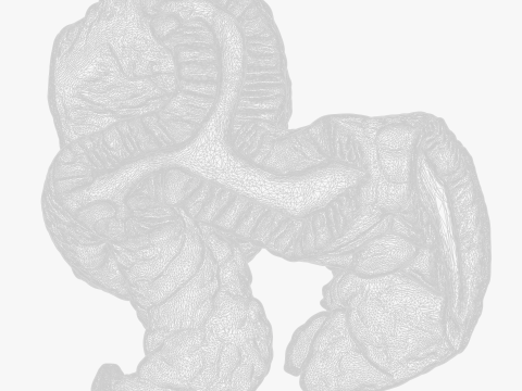 Cylindrical Epithelium of the Gallbladder Model 3D
