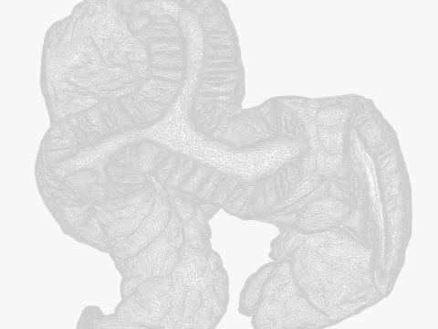 Cylindrical Epithelium of the Gallbladder 3D Model