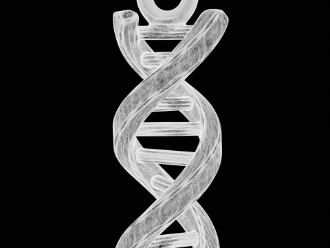 DNA Helix Pendant Modelo de Impressão 3D