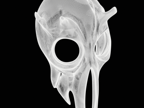Mantis Mask Jewelry 3D Принт Модель