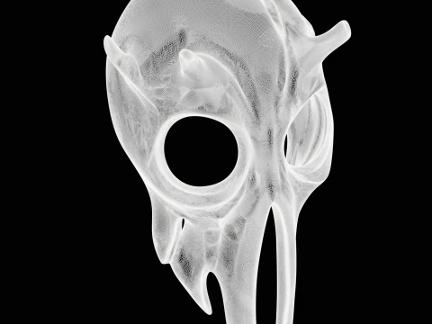 Mantis Mask Jewelry 3D Print Model