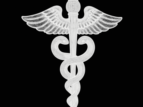 Medical Caduceus Pendant Modèles 3D en vedette