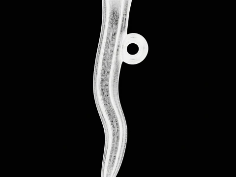 Curved Nail Pendant 3D Print Model