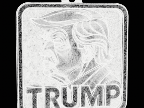 Pendant Political Jewelry 3D Print Model