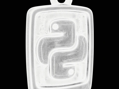 Tech Python Jewelry Charm 3D Print Model