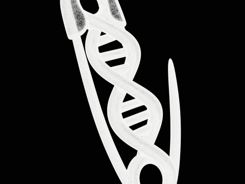 Safety Pin DNA Pendant 3D Print Model
