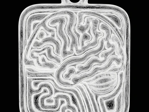 Abstract Science Medallion 3D Print Model