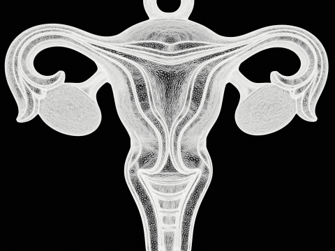 Abstract Female Symbol 3D 打印模型