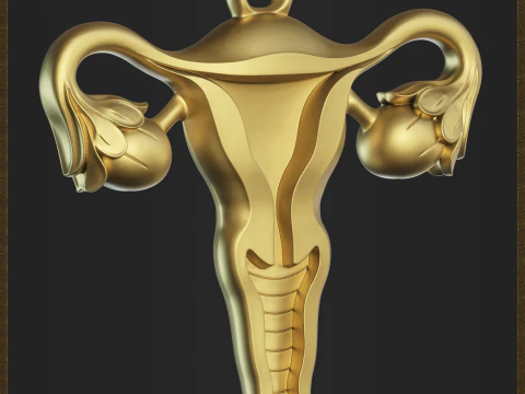 Joias com s&iacute;mbolos femininos abstratos Modelo de Impressão 3D