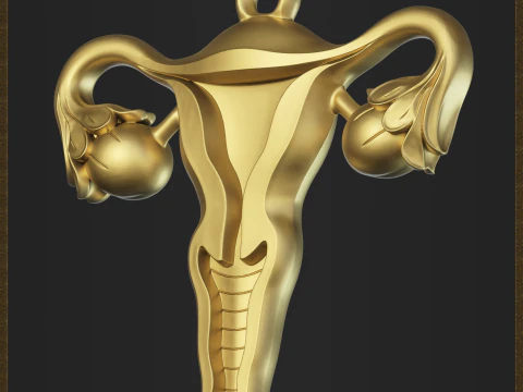 Joias com s&iacute;mbolos femininos abstratos Modelo de Impressão 3D