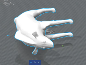 लकड़बग्धा 3D प्रिंट मॉडल