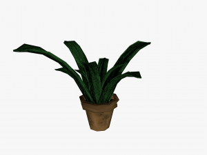 plant in pot 3D Model