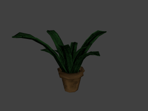 plant in pot 3Dモデル