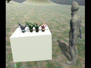 plant in pot 3Dモデル
