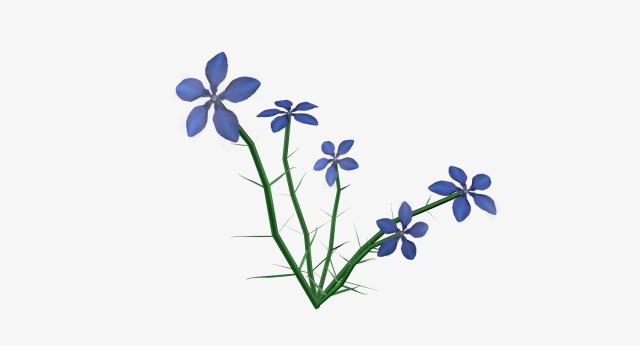 gentian lowpoly 3Dモデル .c4d .max .obj .3ds .fbx .stl .blend 