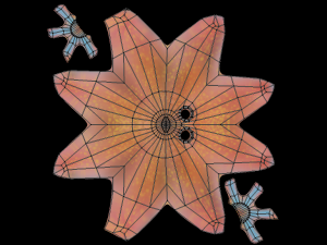cartoon octopus 3D 모델