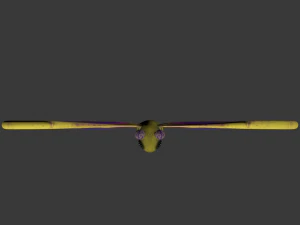 cartoon butterfy 3D Model