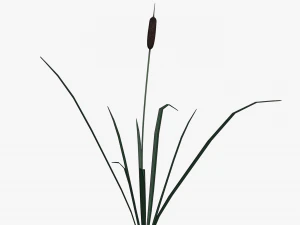 buluh lowpoly Model 3D