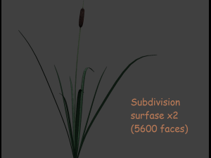 reed lowpoly 3D Model