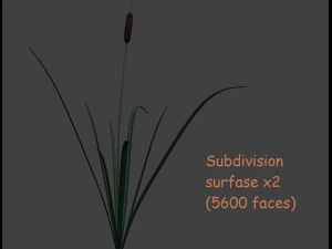 reed lowpoly 3D Model