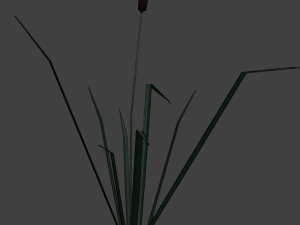 reed lowpoly 3D Model