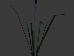 reed lowpoly 3D Model