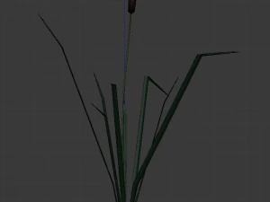 reed lowpoly 3D Model