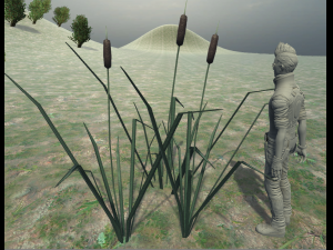reed lowpoly 3D Model