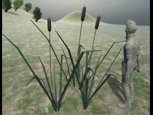 reed lowpoly 3D Model