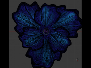 blue poppy 3D 模型