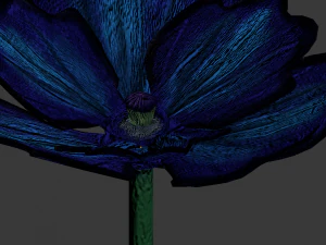 niebieski mak Model 3D