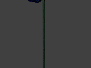 blue poppy 3D 模型