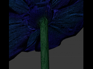 blue poppy 3D 模型