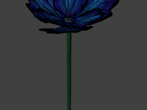 blue poppy 3D 模型