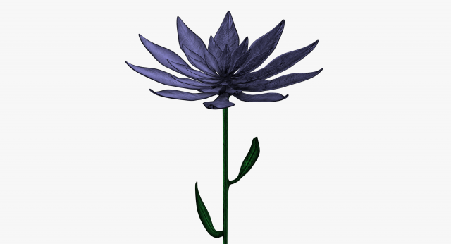 purple flower 3D Model .c4d .max .obj .3ds .fbx .stl .blend 