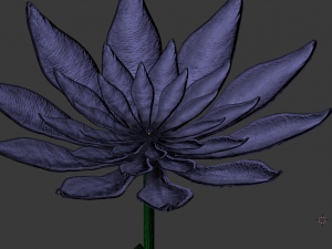 purple flower 3D Model