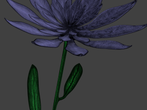 purple flower 3D Model