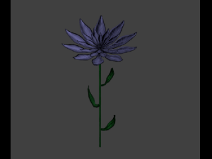 purple flower 3D Model