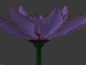 purple flower 3D Model
