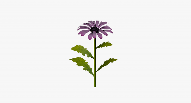 daisy lowpoly 3D 模型 .c4d .max .obj .3ds .fbx .stl .blend 