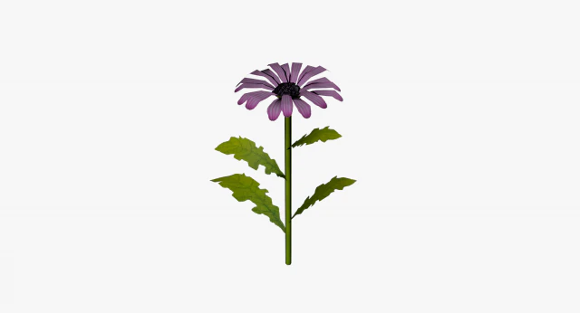daisy lowpoly 3D Model .c4d .max .obj .3ds .fbx .stl .blend 