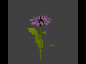 daisy lowpoly 3D 模型
