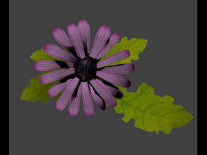 daisy lowpoly 3D 模型