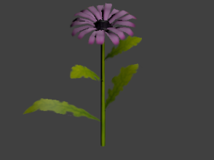 daisy lowpoly 3D 模型